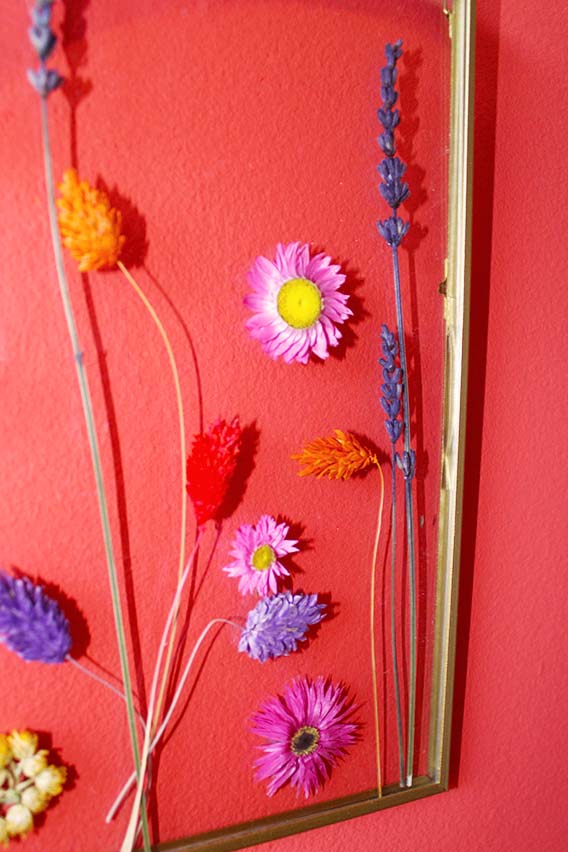 lijst met droogbloemen kleurig hangend